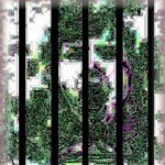 iran_political_prisoner