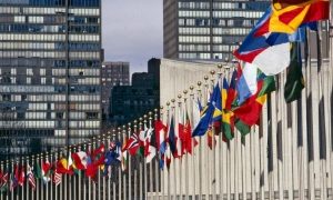مجمع عمومی سازمان ملل متحد از ایران می‌خواهد که حقوق بشر را برای همهٔ شهروندانش از جمله پیروان دیانت بهائی رعایت کند.